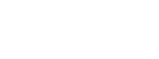 Noous