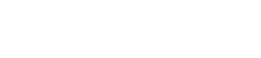 NOVO19